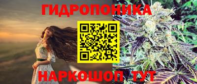 прущие крисы Краснокаменск