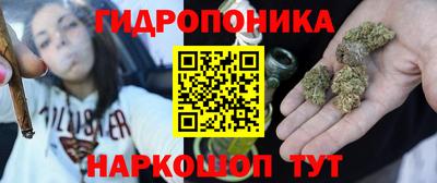 крисы Краснознаменск