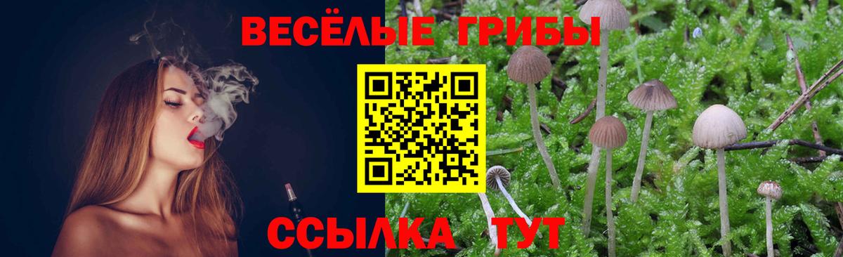 Галлюциногенные грибы GOLDEN TEACHER Строитель