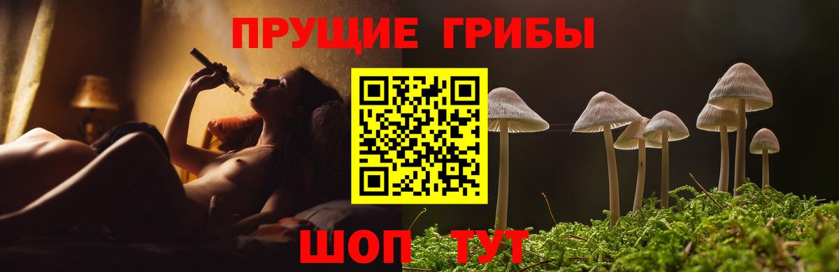 Строитель  Псилоцибиновые грибы мухоморы  где купить   Вход с VPN 